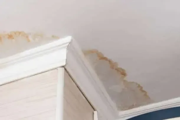 A brown water stain spreading across the ceiling where it meets an outside wall